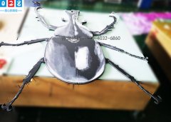 pvc板異型高清uv噴繪制作